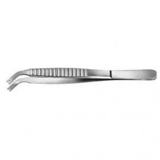 Aiach Columella Suturing Forcep Stainless Steel, 15.5 cm - 6" Width 5.0 mm